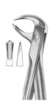  Fig. 99 lower molars 